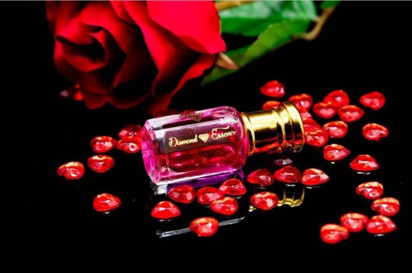 Arabian Rose